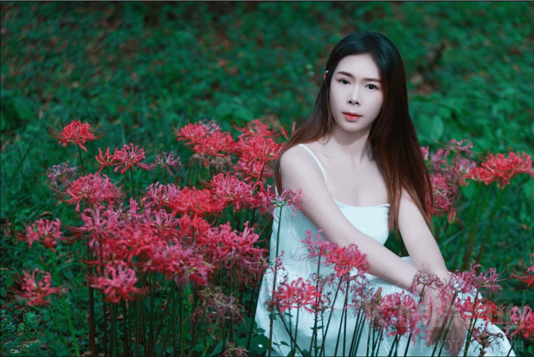 作品图 5