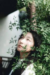 芒果
