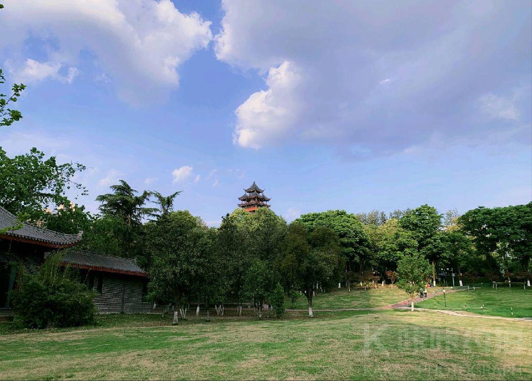 塔子山公园