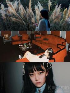 陆犯焉识