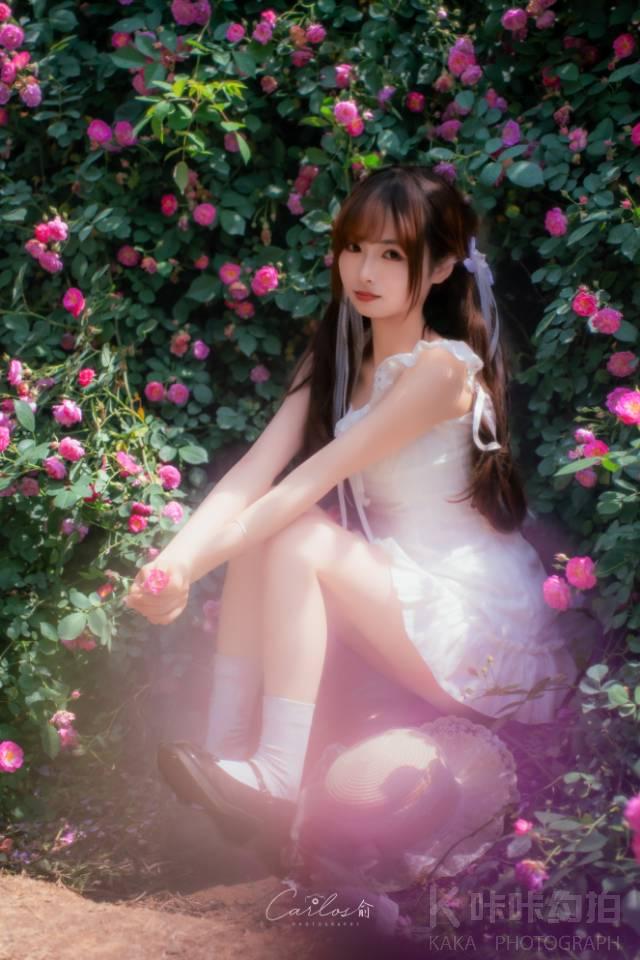 飞鱼