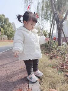 落花