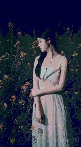 罗非鱼