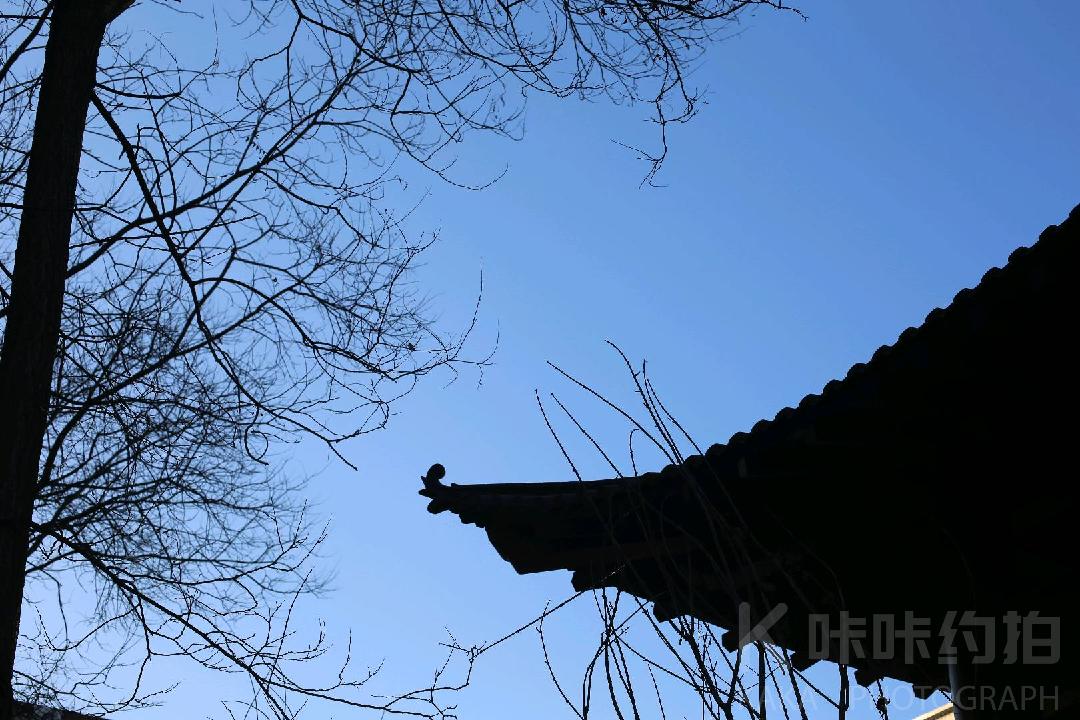 作品图 6