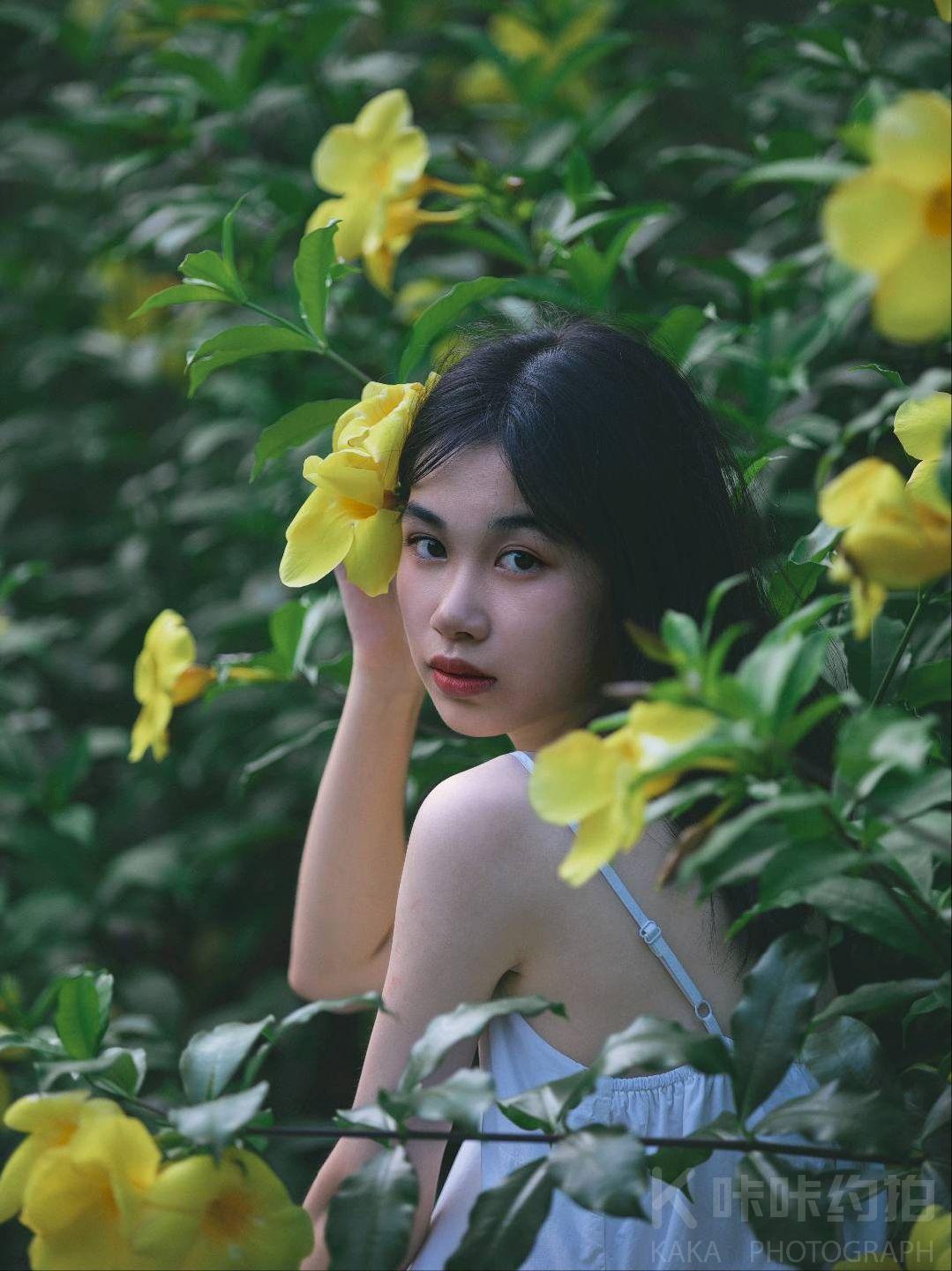 作品图 4