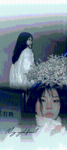向日葵