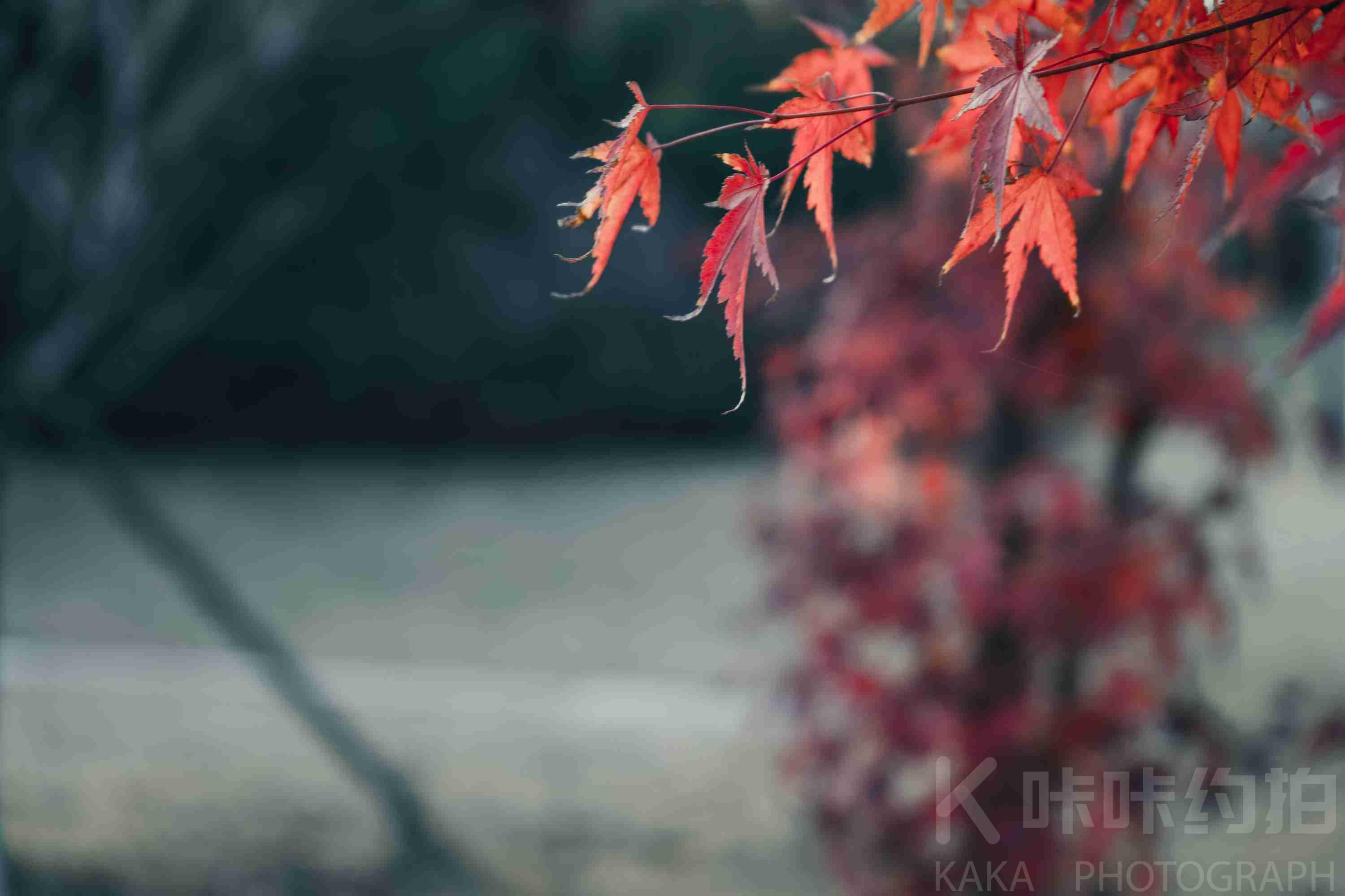 作品图 5