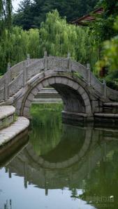 汽水煮泡面