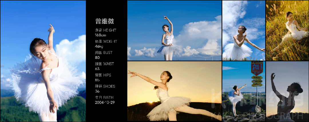 作品图 3