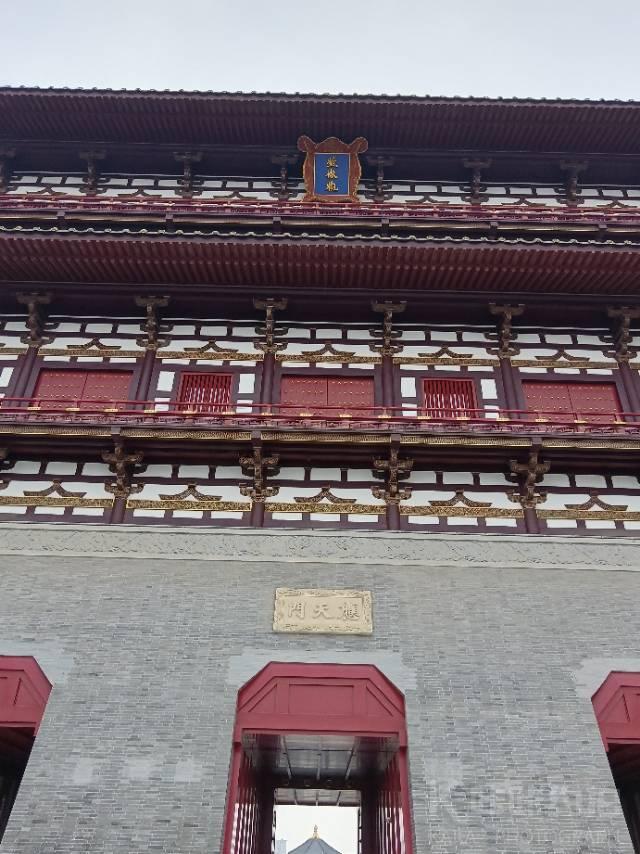 场地图 2