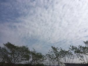 约拍图 2