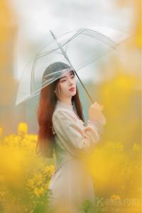 晓视界
