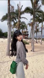 本本
