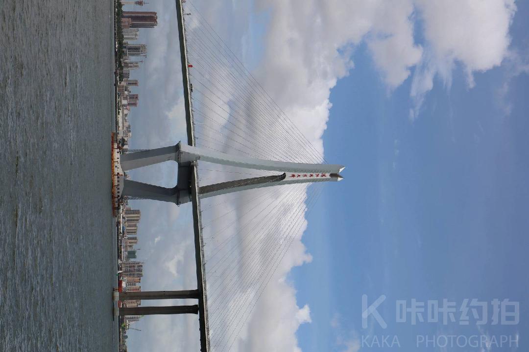 作品图 3