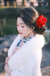 小七不吃猫条
