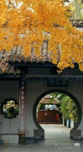 麦吉