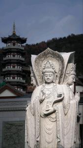 林子映像