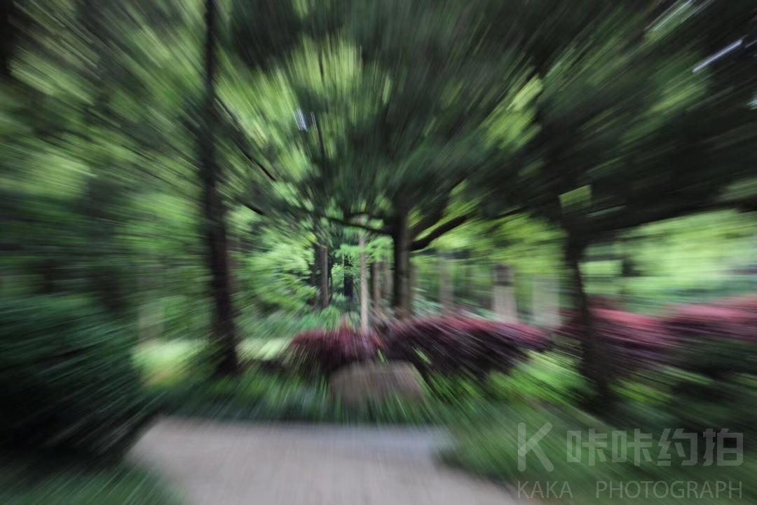 作品图 3