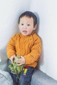 乐鱼巴