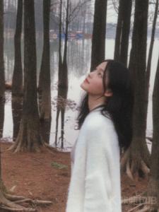 包佳恒