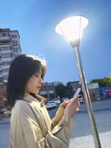 佳