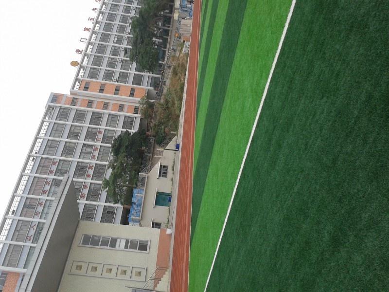 虎门第五中学