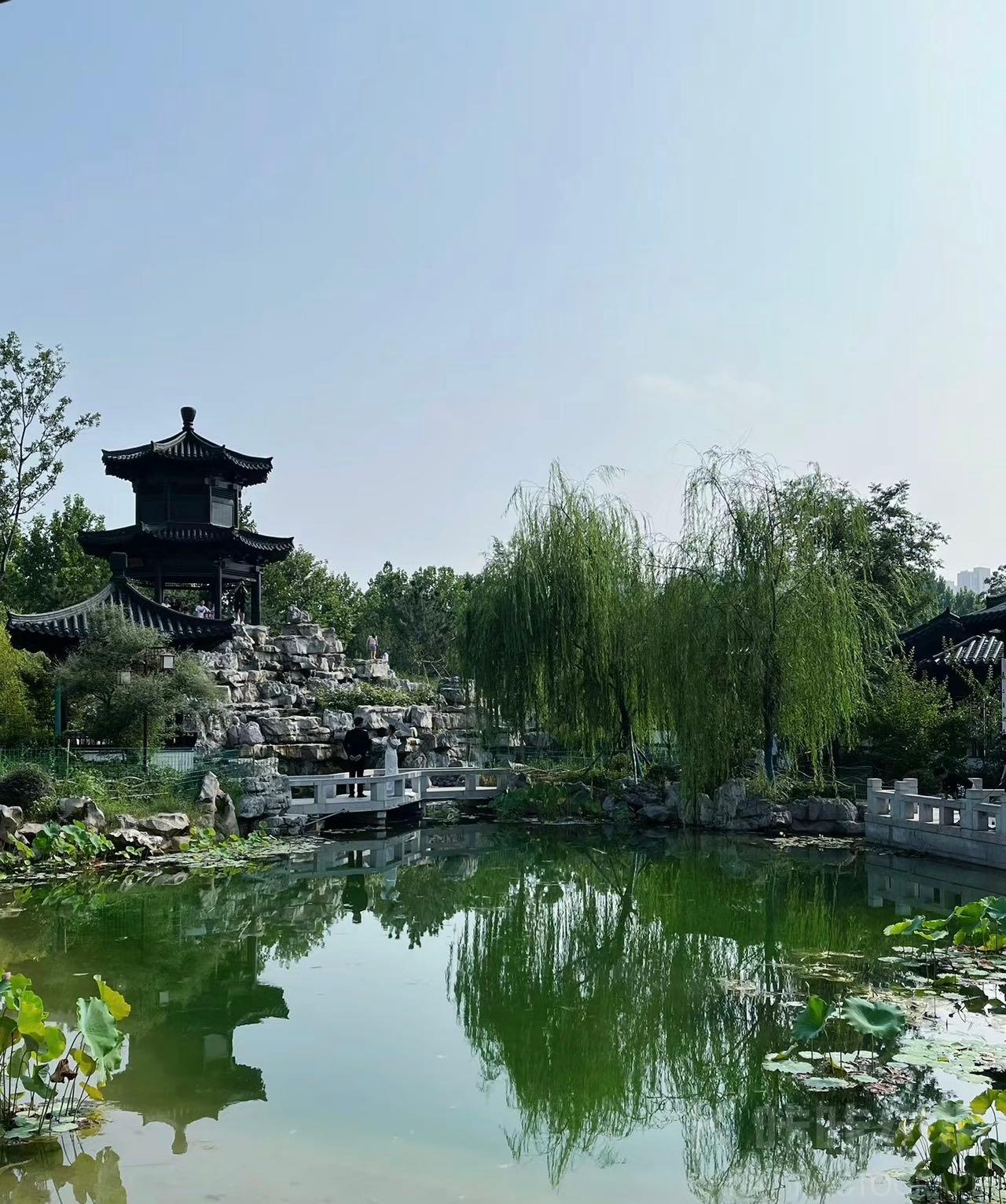 场地图 4