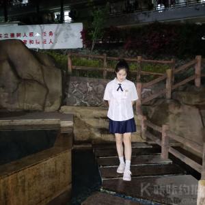 叶子