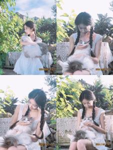 liim