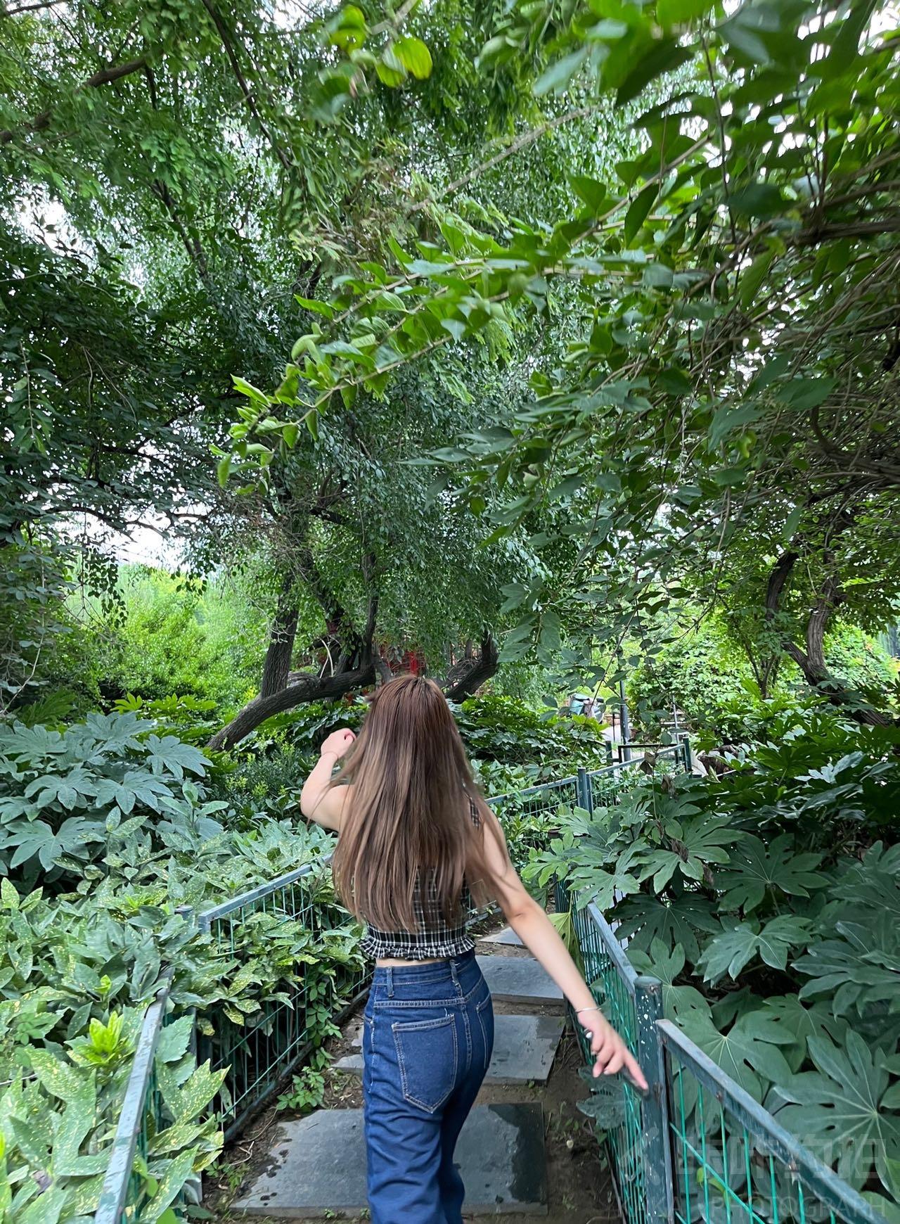 作品图 1