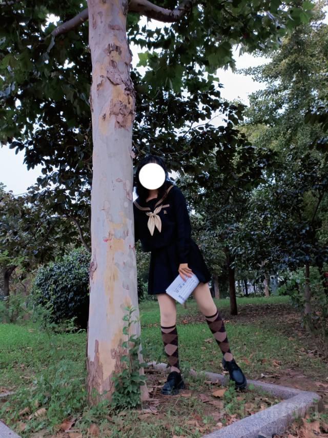 吹梦到西洲