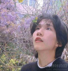 忧伤莉花