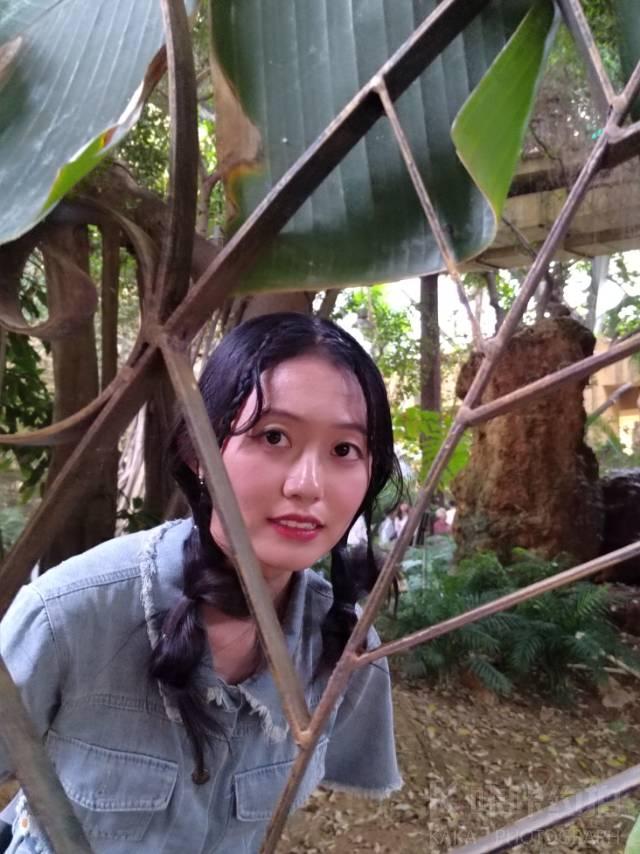 作品图 6