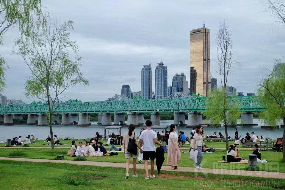 作品图 1