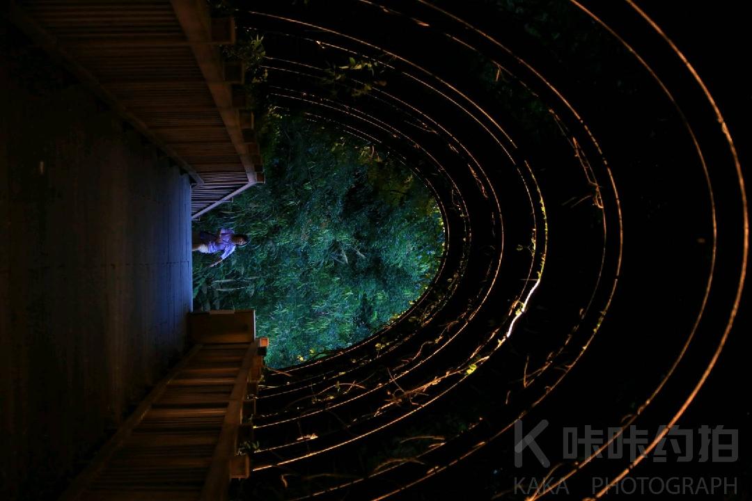 作品图 6
