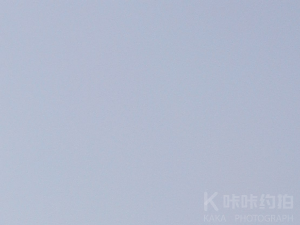 约拍图 3