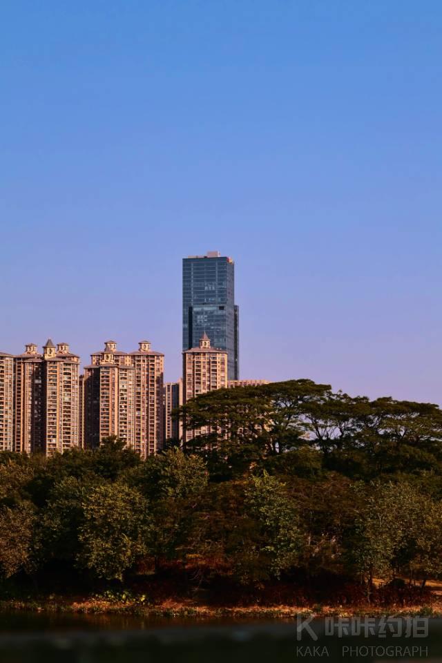 作品图 8