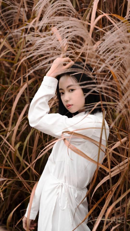 作品图 2