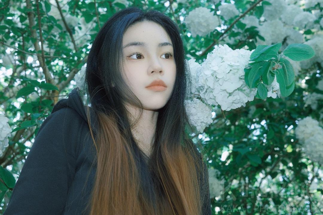 作品图 2