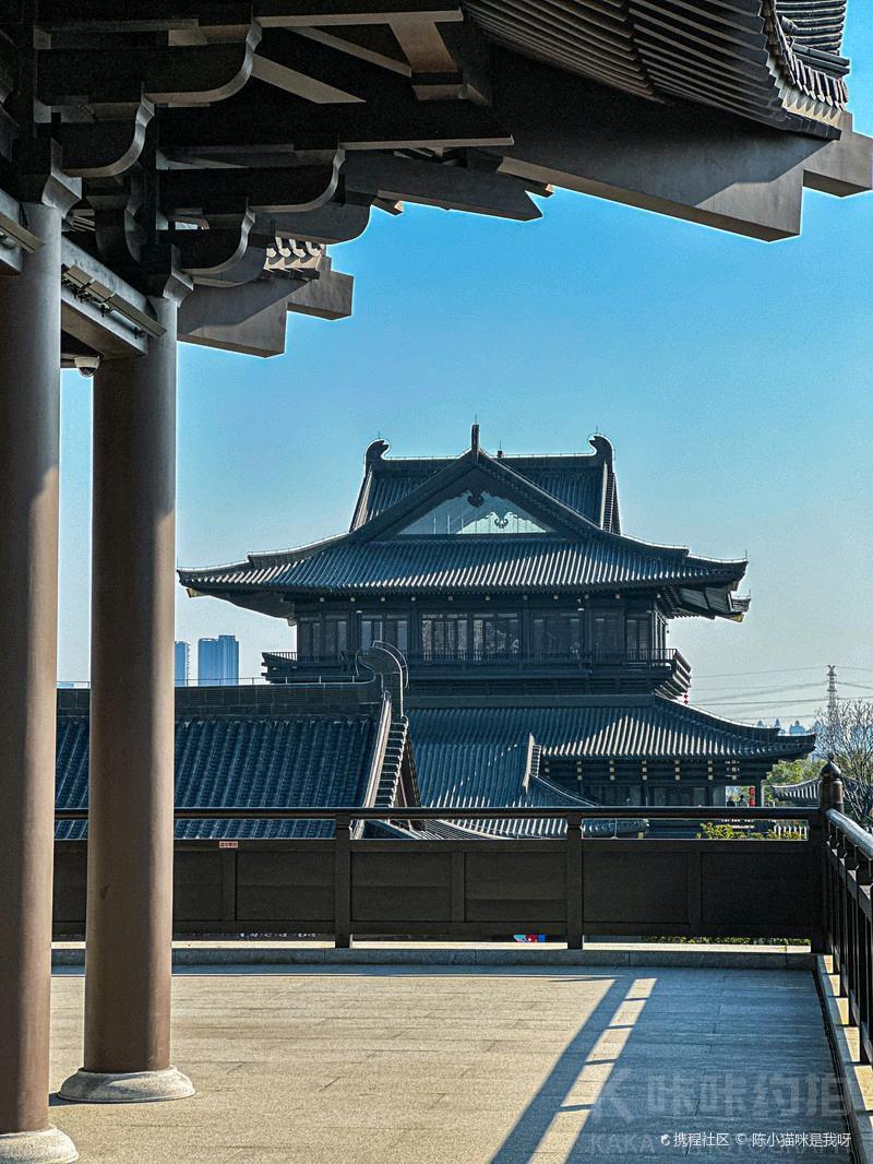 场地图 6