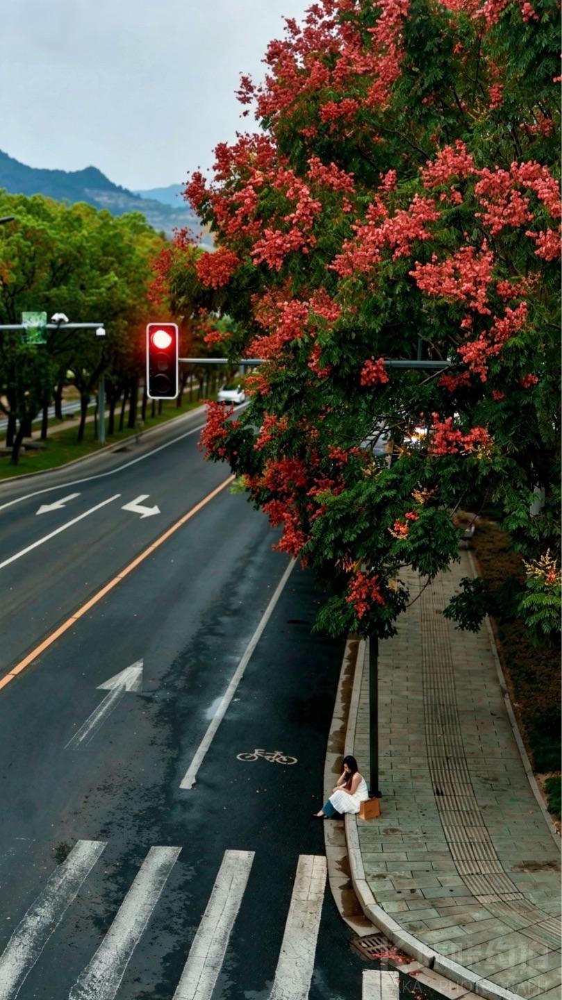 作品图 9