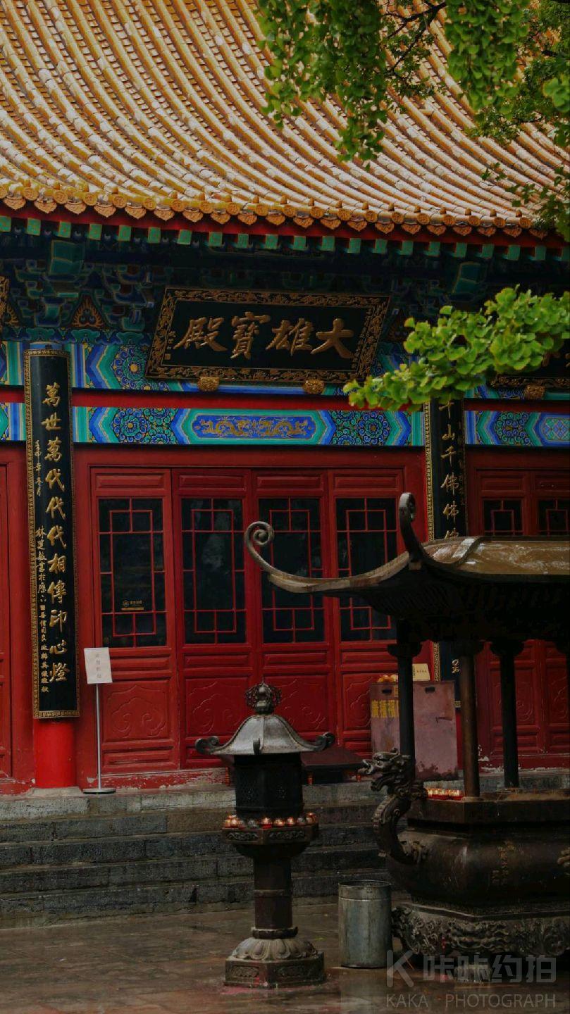 场地图 6
