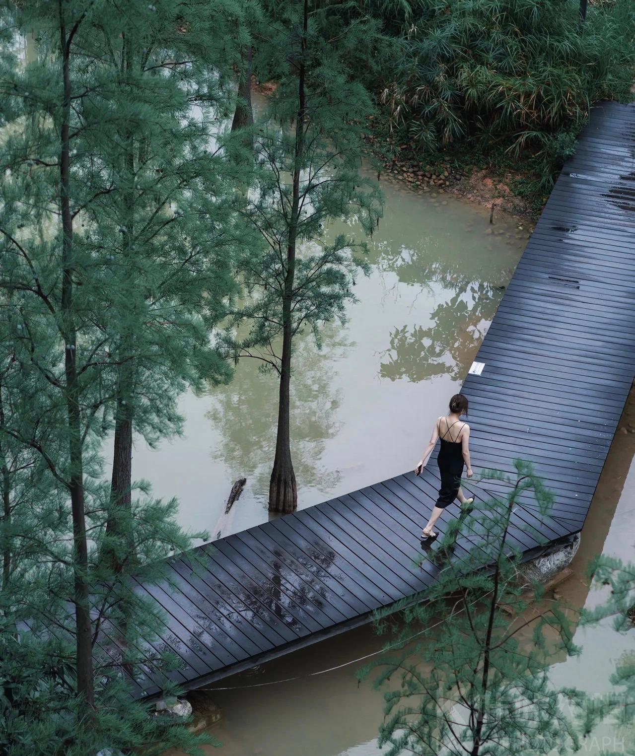 泰华梧桐岛