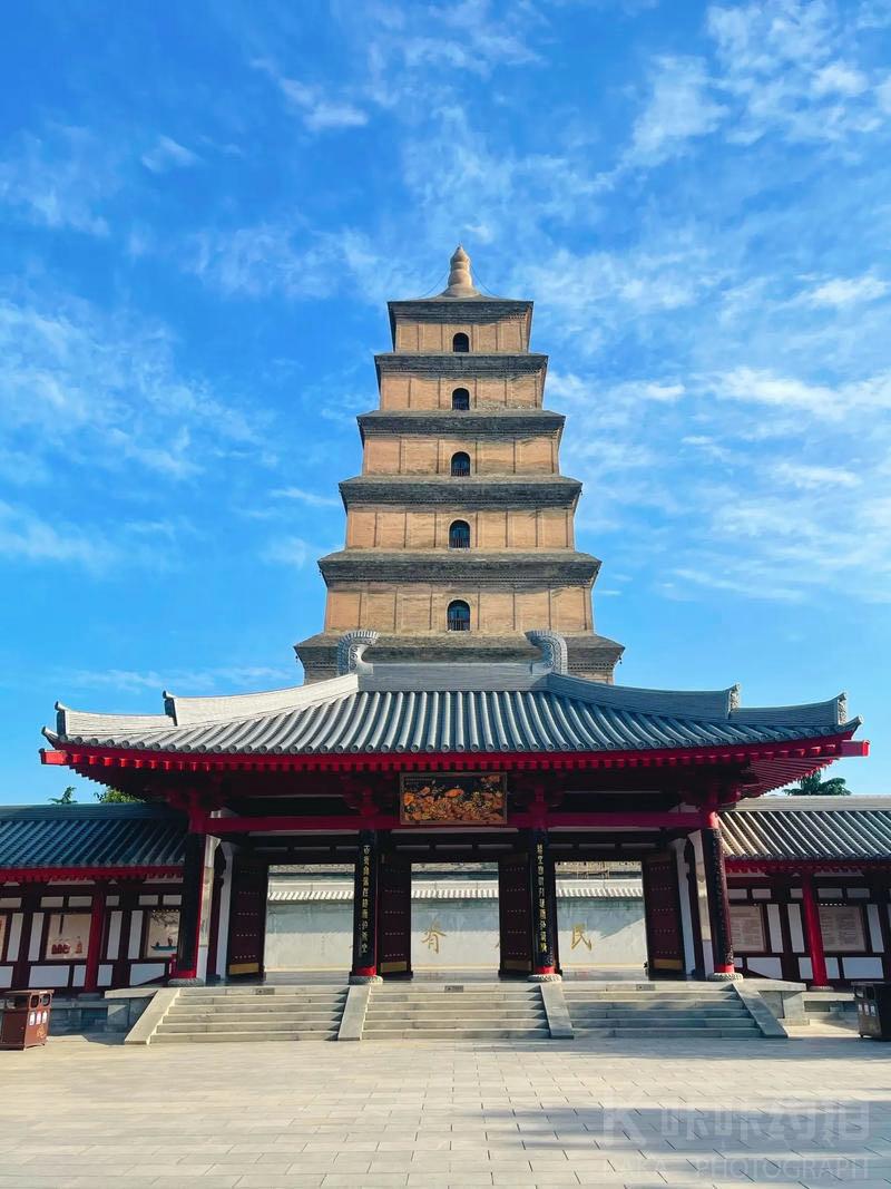 场地图 5