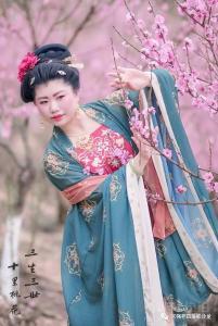 落花听雨