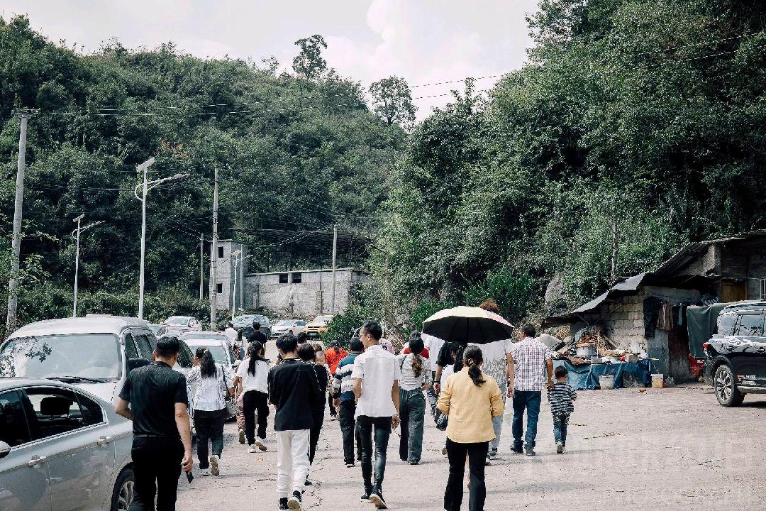 作品图 3