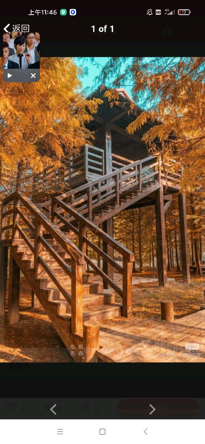 鞍山219公园山顶兰亭