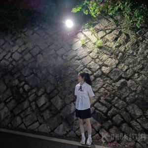 叶子