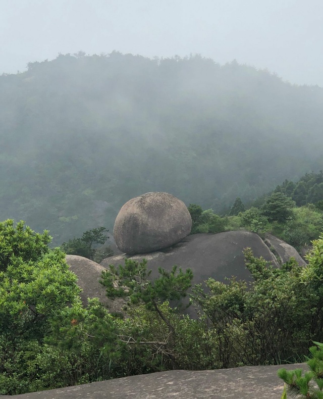 场地图 3