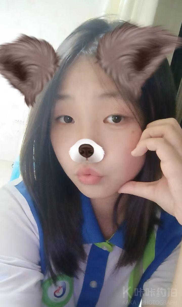 菜菜